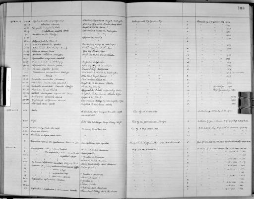 Melanella randolphi (Vanatta, 1900) - Zoology Accessions Register: Mollusca: 1938 - 1955: page 100