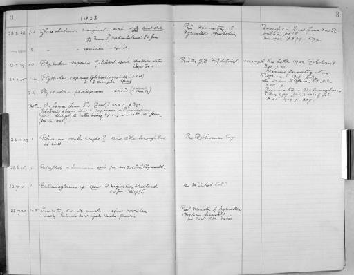 Ptychodera capensis Gilchrist - Zoology Accessions Register: Protochordata & other groups: 1922 - 1993: page 3