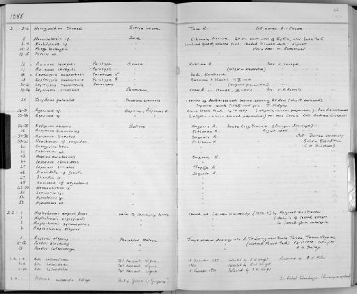 Notoglanidium thomasi Boulenger, 1916 - Zoology Accessions Register: Fishes: 1986 - 1994: page 66