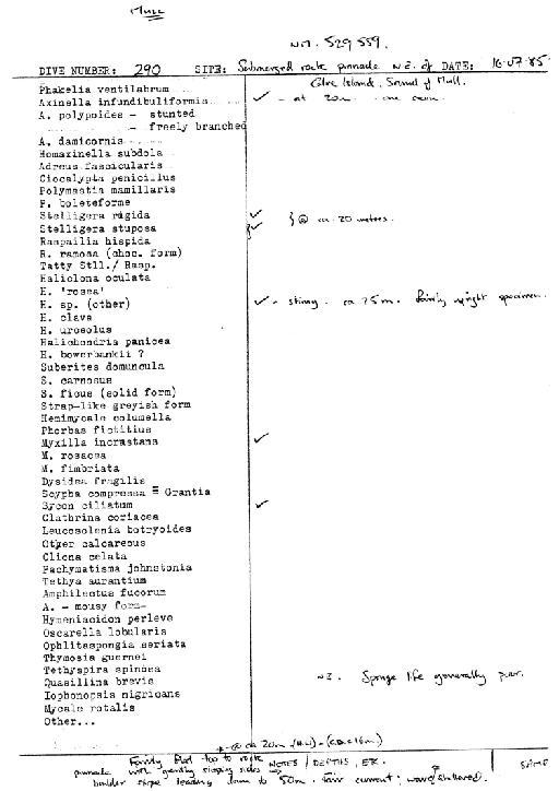 Leucosolenia botryoides (Ellis & Solander, 1786) - Spurrier Mull notes 10 (CSC 47 to 67).jpg