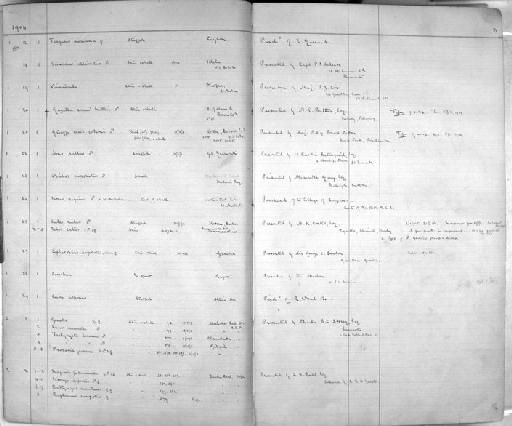 Ovibos moschatus Zimmermann, 1780 - Zoology Accessions Register: Mammals: 1904 - 1910: page 3