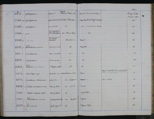 Lepus veter MacInnes, 1953 - NHM-UK_P_DF118_03_34_0185