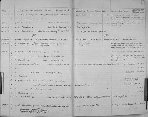 Heteropera sp - Zoology Accessions Register: Bryozoa: 1950 - 1970: page 4