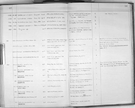 Prionospio cirrifera Wiren, 1883 - Zoology Accessions Register: Polychaeta: 1967 - 1989: page 192