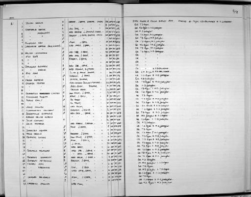 Oenanthe lugubris boscaweni - Zoology Accessions Register: Aves (Skins): 1972 - 1993: page 99