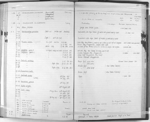 Sardinella sindensis Day, 1878 - Zoology Accessions Register: Fishes: 1961 - 1971: page 227