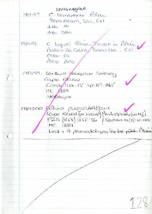 Conus serranegrae Rolan, 1990 - Zoology Accessions Register: Mollusca: 1986 - 1993: page 128
