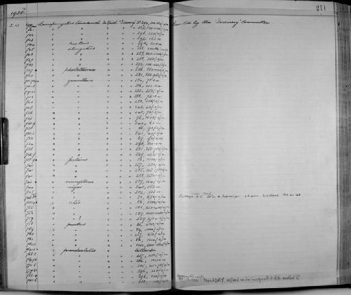 Lampanyctus photothorax Parr, 1928 - Zoology Accessions Register: Fishes: 1912 - 1936: page 211