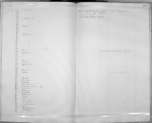 Schizothorax progasta (McClelland, 1839) - Zoology Accessions Register: Mammals: 1854 - 1861: page 301