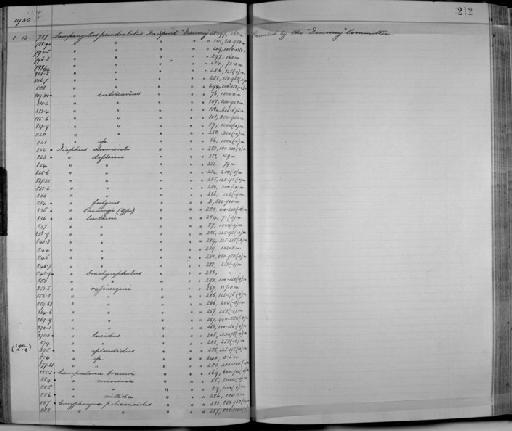 Lampanyctus pseudoalatus Tåning, 1918 - Zoology Accessions Register: Fishes: 1912 - 1936: page 212