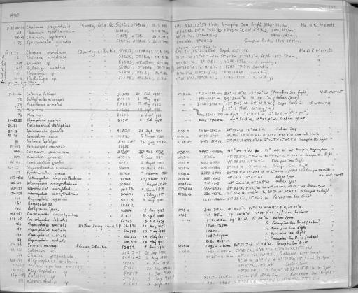 Conocara salmonea - Zoology Accessions Register: Fishes: 1986 - 1994: page 102