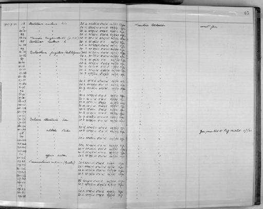 Ophiothrix fragilis (Abildgaard in O.F. Mufcller, 1789) - Zoology Accessions Register: Echinodermata: 1935 - 1984: page 45