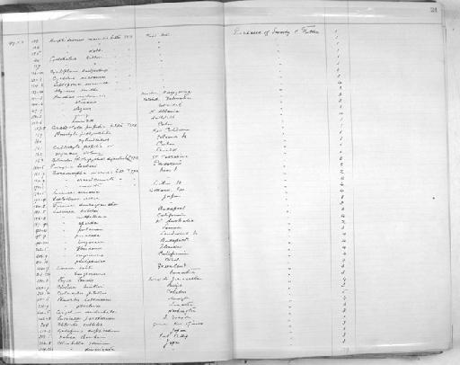 Cyclostrema duplicatum Lischke, 1872 - Zoology Accessions Register: Mollusca: 1906 - 1911: page 24