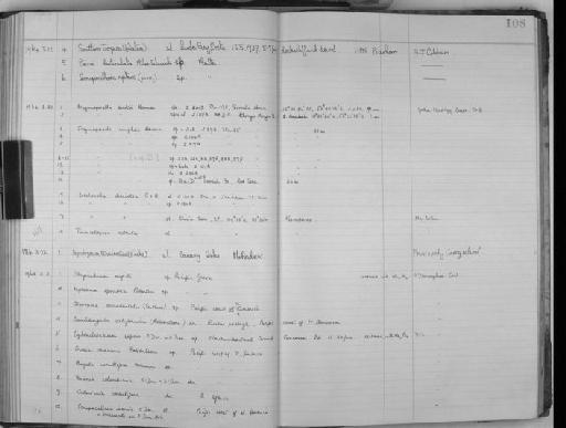 Steganoporella buskii Harmer, 1900 - Zoology Accessions Register: Bryozoa: 1950 - 1970: page 108