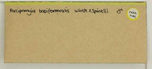 Forcipomyia basifemoralis Wirth & Spinelli - 014770132_additional