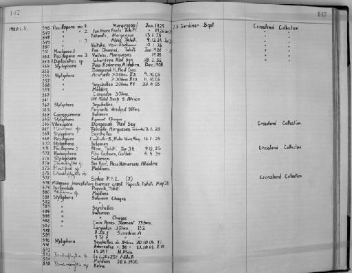 Alveopora Blainville, 1830 - Zoology Accessions Register: Coelenterata: 1934 - 1951: page 147