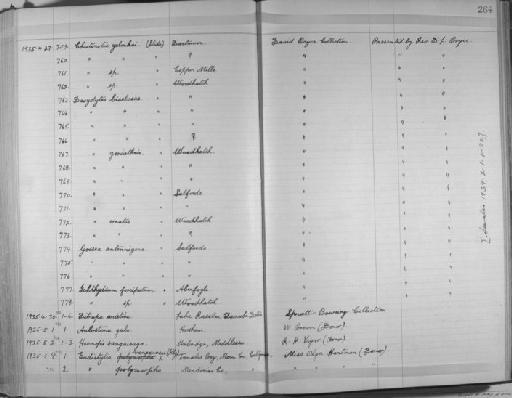 Eudistylia vancouveri (Kinberg) - Zoology Accessions Register: Annelida & Echinoderms: 1924 - 1936: page 264