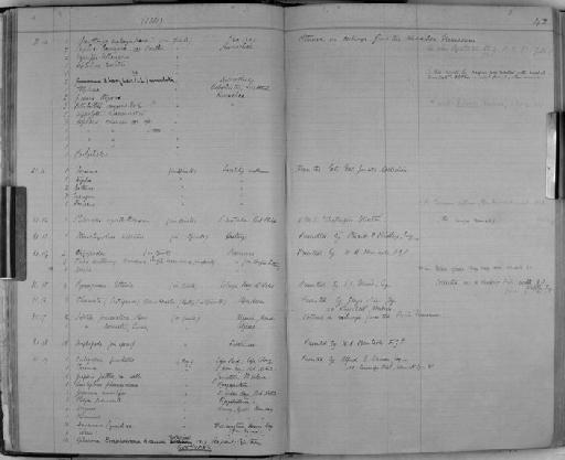 Diogenes - Zoology Accessions Register: Crustacea: 1876 - 1905: page 42