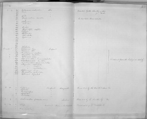 Ophisurus hijala Hamilton, 1822 - Zoology Accessions Register: Mammals: 1854 - 1861: page 313