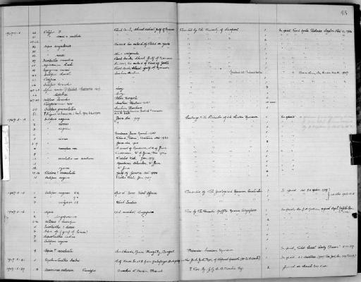 Octopus horsti Joubin, 1898 - Zoology Accessions Register: Mollusca: 1938 - 1955: page 45