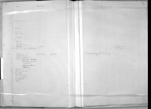 Hemiodus gracilis Günther, 1864 - Zoology Accessions Register: Mammals: 1850 - 1853: page 410