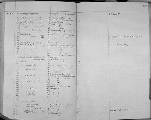 Rhynchothalestris helgolandica (Claus, 1863) - Zoology Accessions Register: Crustacea (Entomostraca): 1938 - 1963: page 104