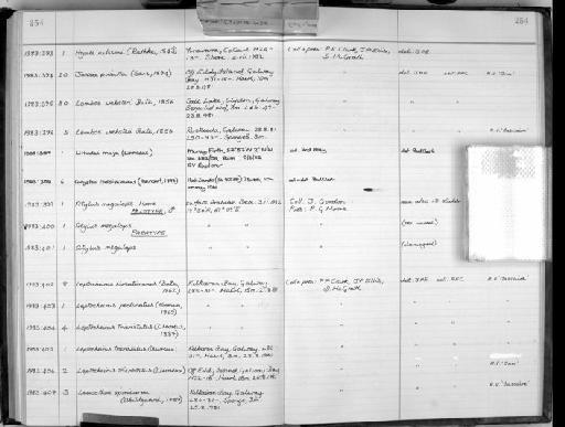 Atylus megalops parvorder Synopiidira Moore - Zoology Accessions Register: Crustacea: 1976 - 1984: page 254