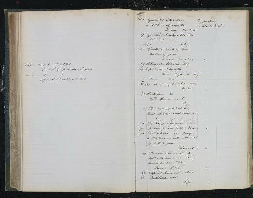 Aelurogale intermedia Filhol, 1872 - NHM-UK_P_DF118_03_29_0319