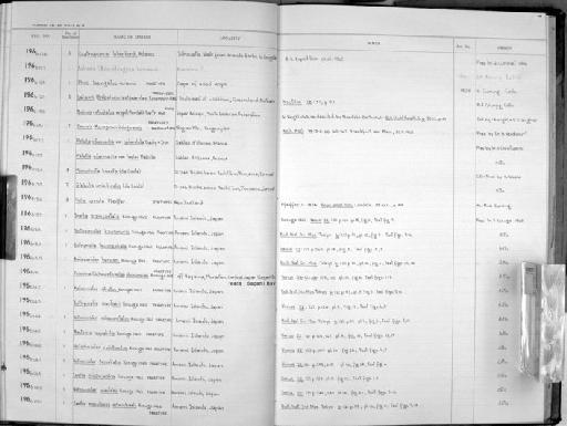 Helix urnula Pfeiffer, 1855 - Zoology Accessions Register: Mollusca: 1962 - 1969: page 144