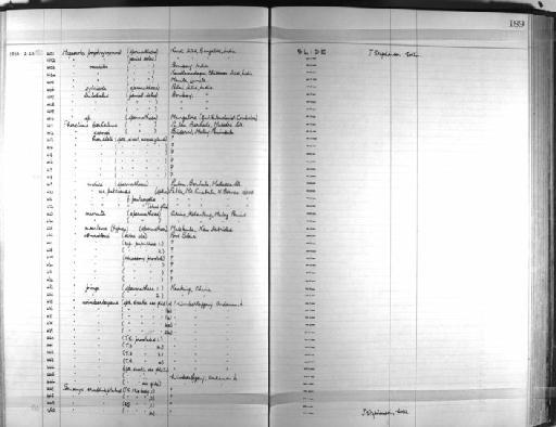 Pheretima wimberleyana - Zoology Accessions Register: Annelida & Echinoderms: 1924 - 1936: page 189
