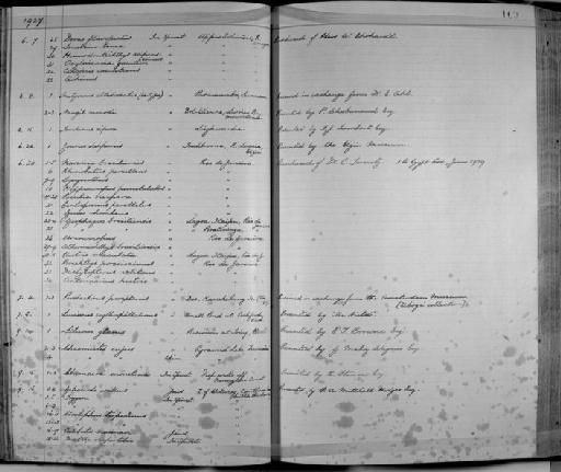 Centropomus parallelus Poey, 1860 - Zoology Accessions Register: Fishes: 1912 - 1936: page 169