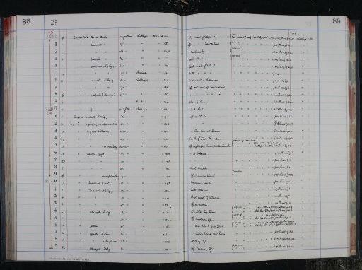 Uvigerina aculeata Orbigny, 1846 - NHM-UK_P_DF118_04_16_0177