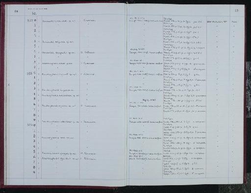 Hermanites soliporosa Al-Furaih, 1980 - NHM-UK_P_DF118_04_10_0021