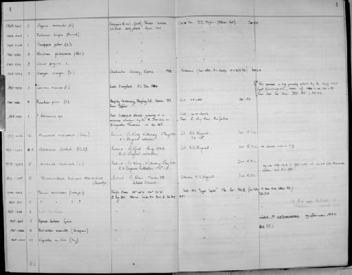 Caprella equilibra parvorder Caprellidira Say, 1818 - Zoology Accessions Register: Crustacea: 1969 - 1976: page 4