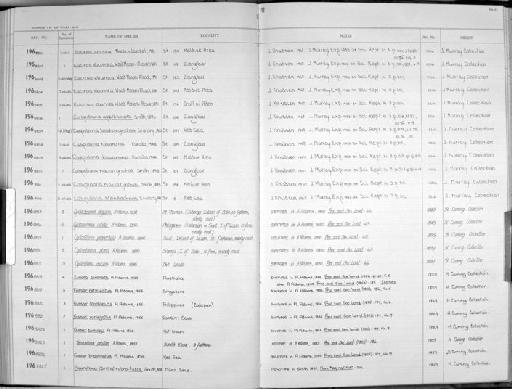 Cyclostrema nitida A. Adams, 1850 - Zoology Accessions Register: Mollusca: 1962 - 1969: page 240