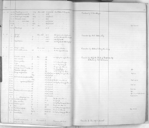Ratufa indica Erxleben, 1777 - Zoology Accessions Register: Mammals: 1911 - 1920: page 20