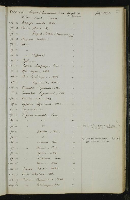 Protosphyraena Leidy, 1857 - NHM-UK_P_DF118_02_01_0175