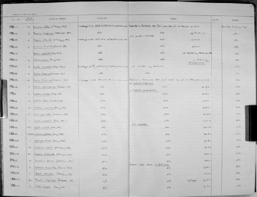 Peraclis bispinosa Pelseneer, 1887 - Zoology Accessions Register: Mollusca: 1962 - 1969: page 7
