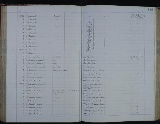 Eoderoceras bispinigerum (Buckman, 1918) - NHM-UK_P_DF118_06_31_0233