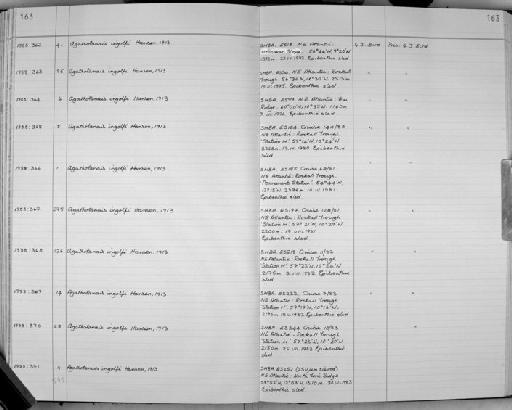 Agathotanais ingolfi Hansen, 1913 - Zoology Accessions Register: Crustacea: 1984 - 1991: page 163