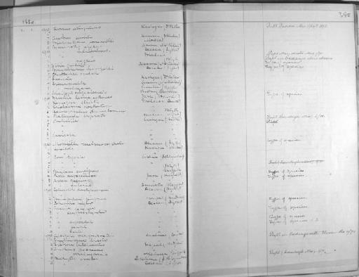 Parra superciliosa Horsfield, 1821 - Zoology Accessions Register: Aves (Skins): 1874 -1880: page 398