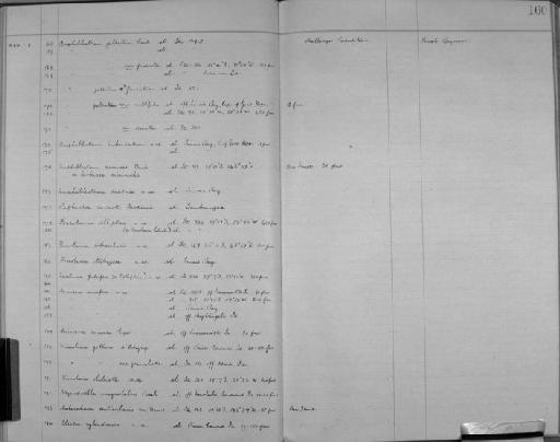 Amphiblestrum galeatum Busk - Zoology Accessions Register: Bryozoa: 1922 - 1949: page 160