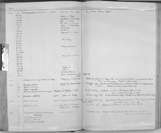 Pimelodus gracilis Valenciennes, 1836 - Zoology Accessions Register: Fishes: 1937 - 1960: page 71