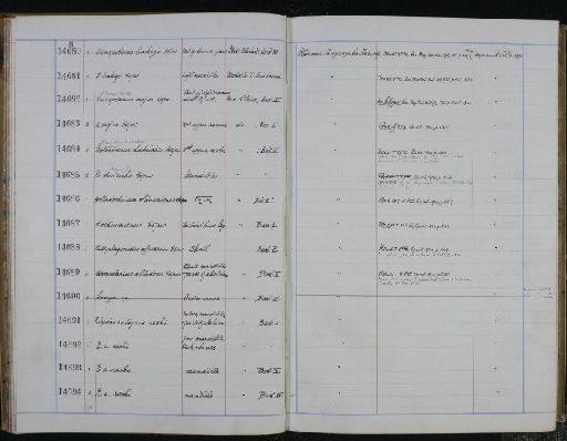 Helladotherium olduvaiensis Hopwood, 1934 - NHM-UK_P_DF118_03_34_0027