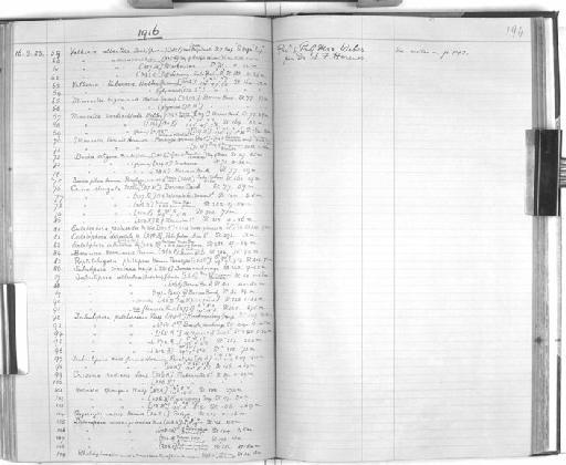 Lichenopora novaezelandiae Busk - Zoology Accession Register: Hydrozoa - Polyzoa - Tunicata: 1887 - 1921: page 194
