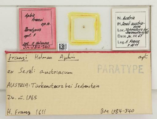 Aphis franzi Holman, 1975 - 014863819_112474_1092864_157851_Type