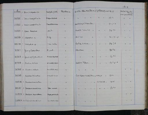 Crocidura samaritana - NHM-UK_P_DF118_03_34_0237