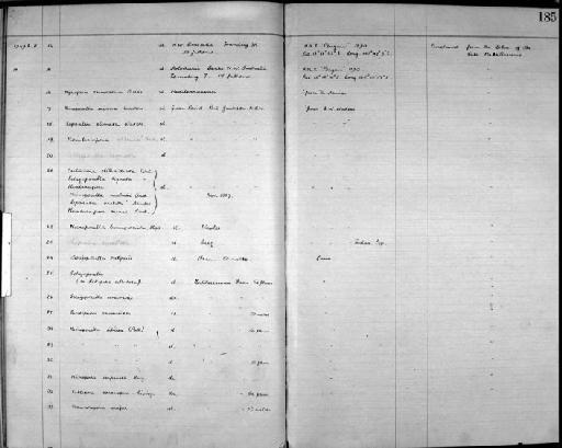 Lepralia vestita Hincks, 1885 - Zoology Accessions Register: Bryozoa: 1922 - 1949: page 185