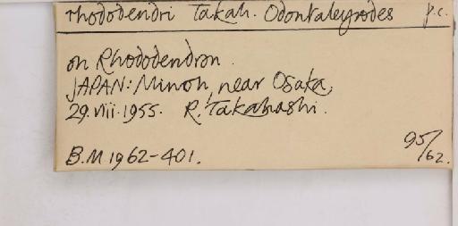 Pealius rhododendrae Takahashi, 1935 - 013488215_additional