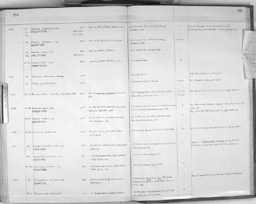 Amphitrite volutacornis Montagu, 1804 - Zoology Accessions Register: Polychaeta: 1967 - 1989: page 195